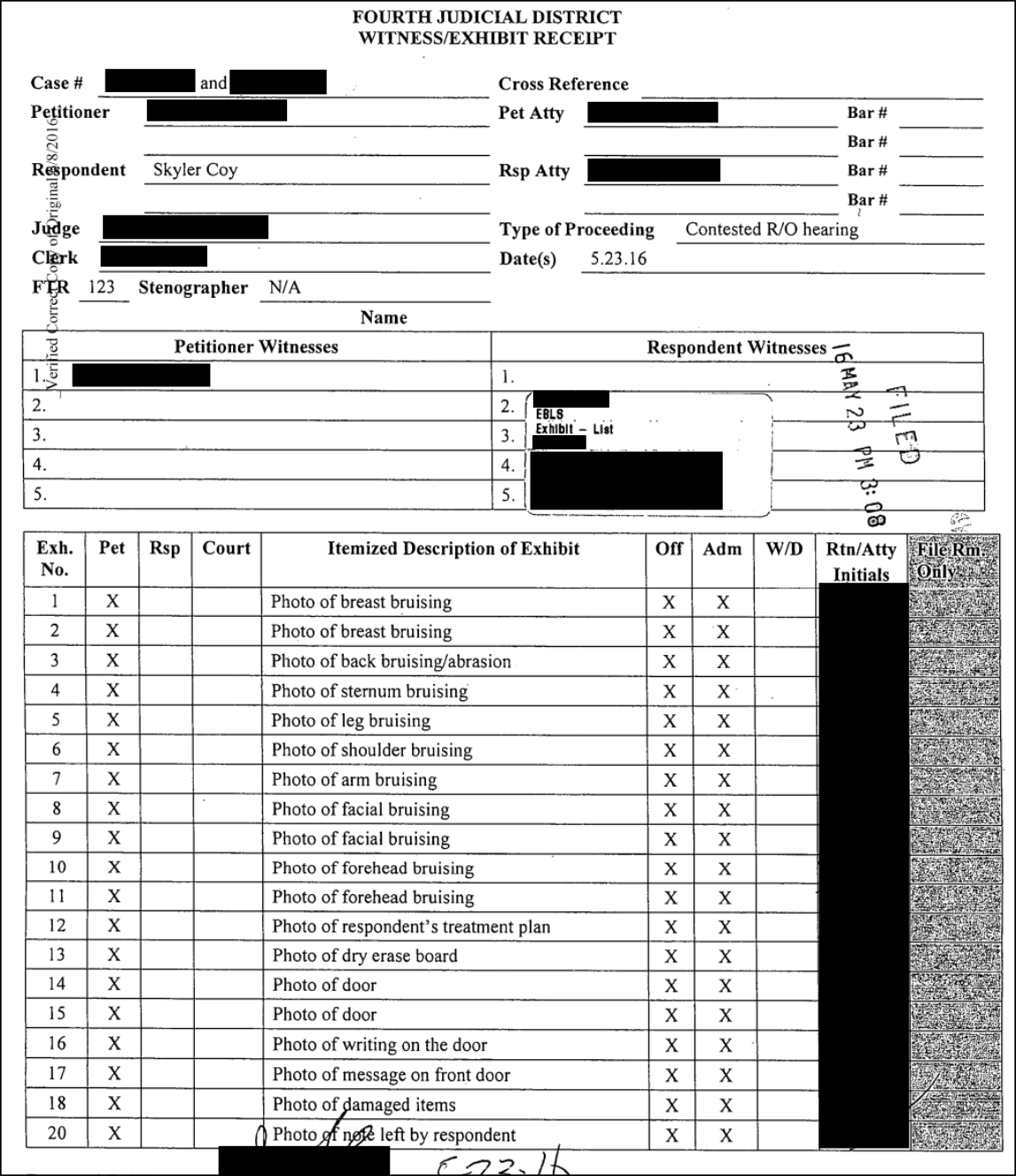 Skyler Coy court documents