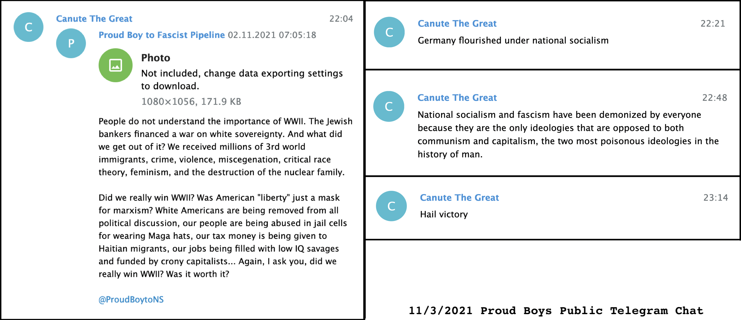 - IMAGE - Screencaps of pro-Nazi messages posted in Telegram by Casey Knuteson